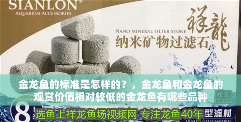 金龍魚的標準是怎樣的？，金龍魚和金龍魚的觀賞價值相對較低的金龍魚有哪些品種