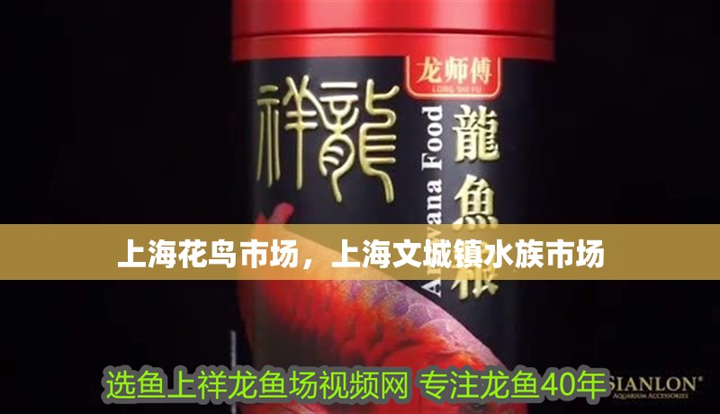 上?；B市場，上海文城鎮(zhèn)水族市場
