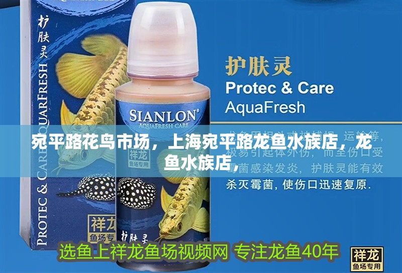 宛平路花鳥市場，<strong><mark>上海</mark></strong>宛平路龍魚水族店，龍魚水族店，