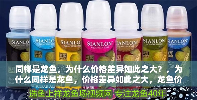 同樣是龍魚，為什么價格差異如此之大？，為什么同樣是龍魚，價格差異如此之大，龍魚價格差異如此之大