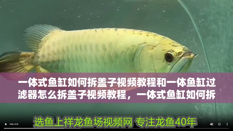一體式魚缸如何拆蓋子視頻教程和一體魚缸過濾器怎么拆蓋子視頻教程，一體式魚缸如何拆蓋子