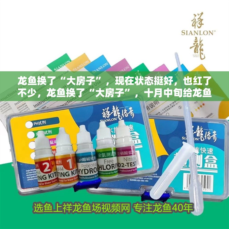 龍魚換了“大房子”，現在狀態挺好，也紅了不少，龍魚換了“大房子”，十月中旬給龍魚換的“大房子”，狀態挺好