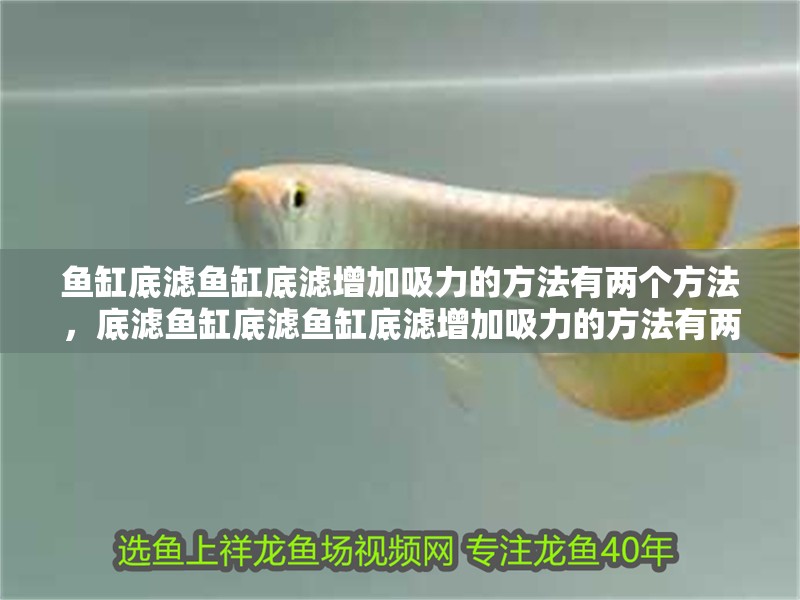 魚缸底濾魚缸底濾增加吸力的方法有兩個方法，底濾魚缸底濾魚缸底濾增加吸力的方法有兩個方法有兩個 魚缸底濾魚缸底濾增加吸力的方法有兩個方法，底濾魚缸底濾魚缸底濾增加吸力的方法有兩個方法有兩個 觀賞魚百科