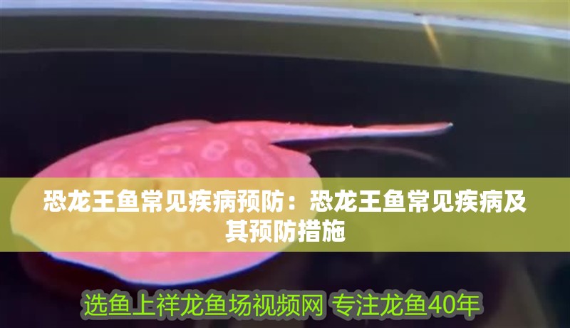 恐龍王魚常見疾病預防：恐龍王魚常見疾病及其預防措施