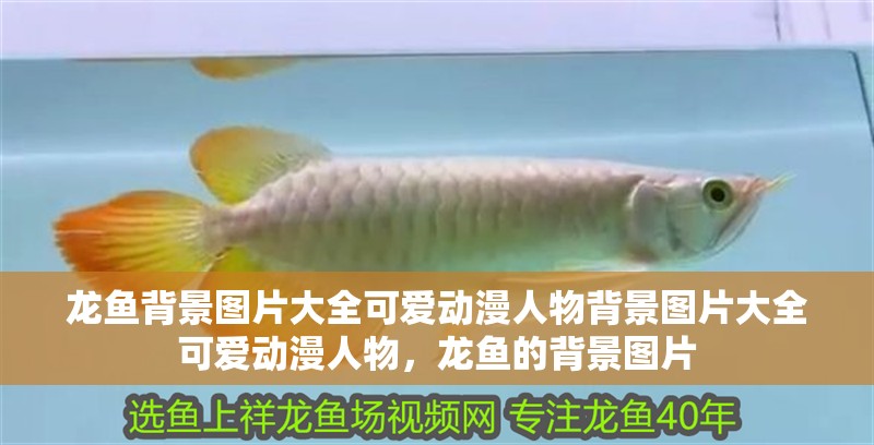 龍魚背景圖片大全可愛動漫人物背景圖片大全可愛動漫人物，龍魚的背景圖片