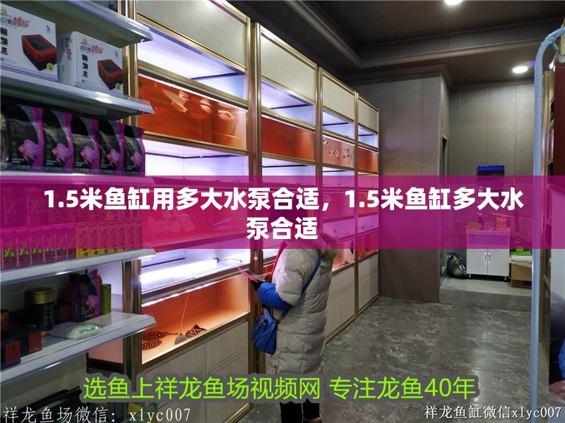 1.5米魚缸用多大水泵合適，1.5米魚缸多大水泵合適