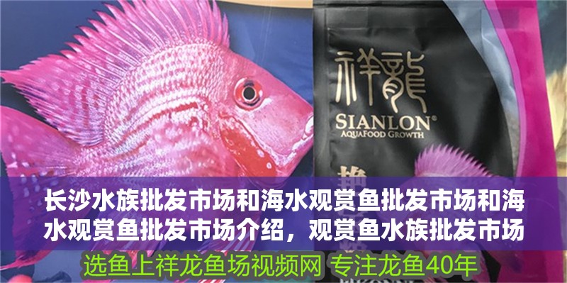 長沙水族批發(fā)市場和海水觀賞魚批發(fā)市場和海水觀賞魚批發(fā)市場介紹，觀賞魚水族批發(fā)市場