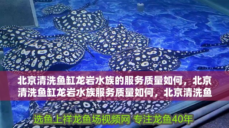 北京清洗魚缸龍巖水族的服務(wù)質(zhì)量如何，北京清洗魚缸龍巖水族服務(wù)質(zhì)量如何，北京清洗魚缸龍巖水族