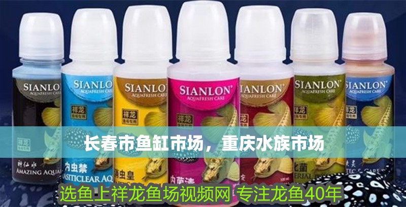 長春市魚缸市場，重慶水族市場