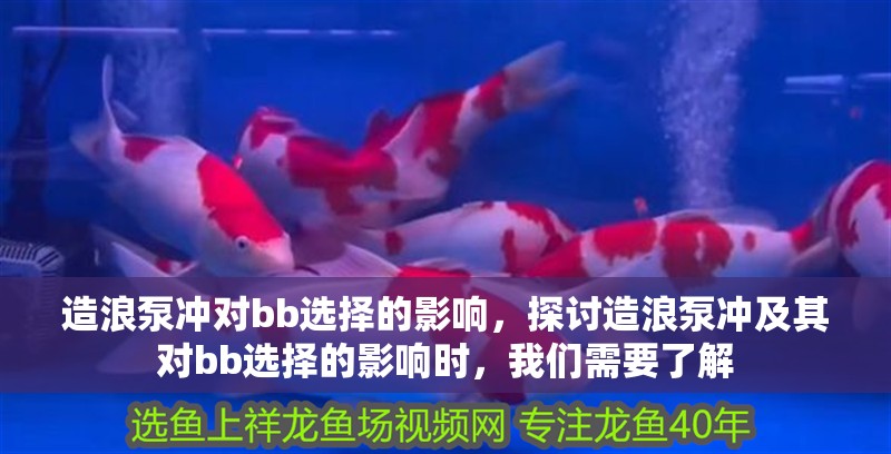 造浪泵沖對bb選擇的影響，探討造浪泵沖及其對bb選擇的影響時，我們需要了解