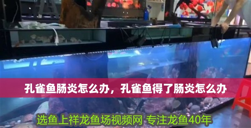 孔雀魚腸炎怎么辦，孔雀魚得了腸炎怎么辦