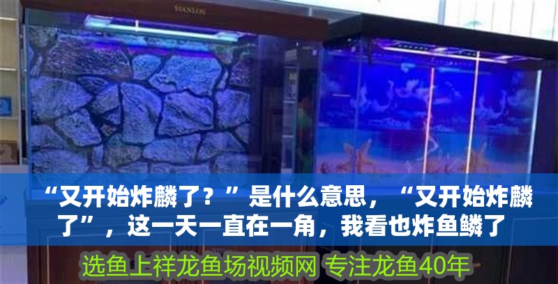 “又開始炸麟了？”是什么意思，“又開始炸麟了”，這一天一直在一角，我看也炸魚鱗了