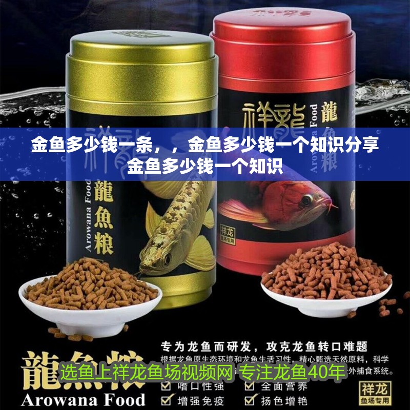 金魚多少錢一條，，金魚多少錢一個知識分享金魚多少錢一個知識