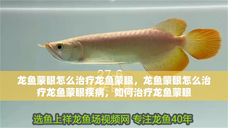 龍魚蒙眼怎么治療龍魚蒙眼，龍魚蒙眼怎么治療龍魚蒙眼疾病，如何治療龍魚蒙眼