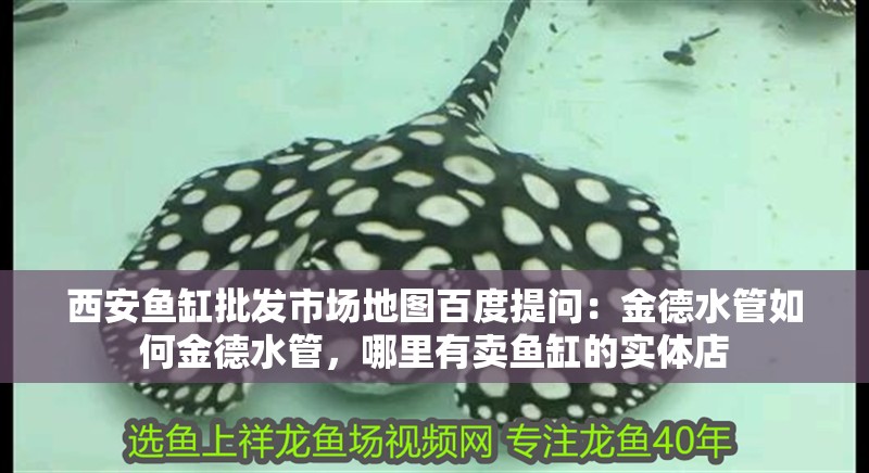 西安魚缸批發市場地圖百度提問：金德水管如何金德水管，哪里有賣魚缸的實體店