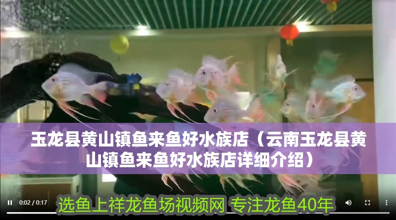 玉龍縣黃山鎮(zhèn)魚來魚好水族店（云南玉龍縣黃山鎮(zhèn)魚來魚好水族店詳細介紹）