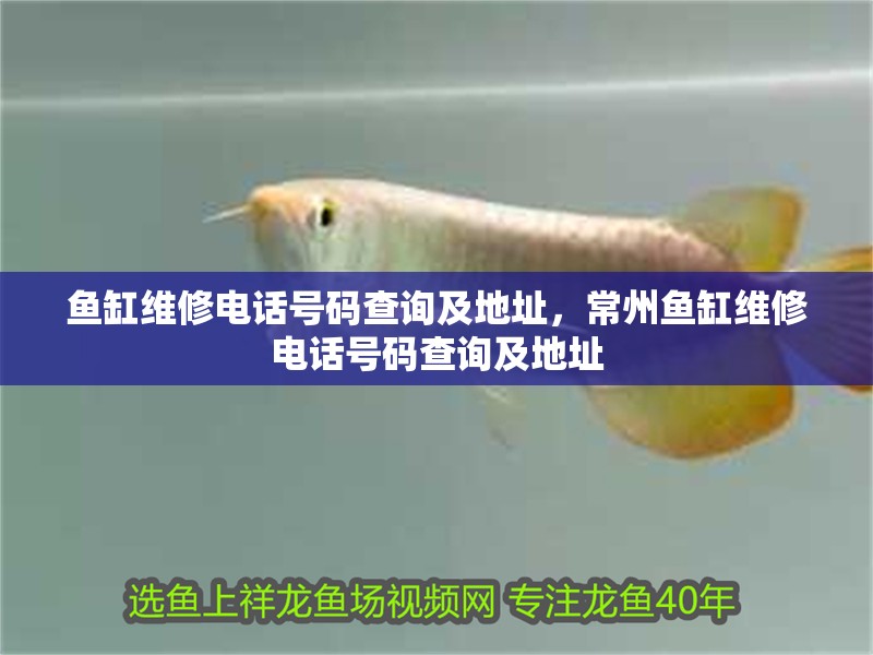 魚缸維修電話號碼查詢及地址，常州魚缸維修電話號碼查詢及地址