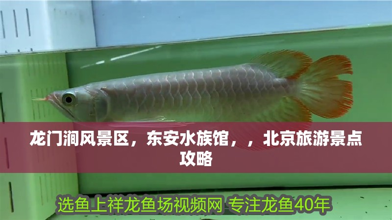 龍門澗風景區，東安水族館，，北京旅游景點攻略