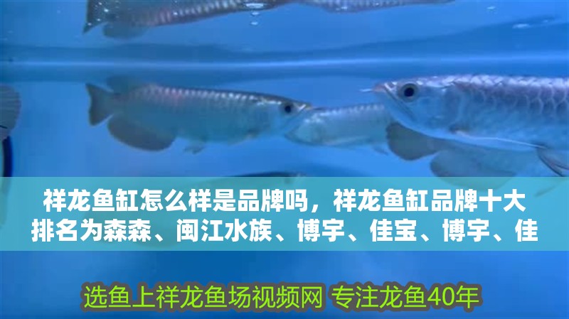 祥龍魚缸怎么樣是品牌嗎，祥龍魚缸品牌十大排名為森森、閩江水族、博宇、佳寶、博宇、佳寶