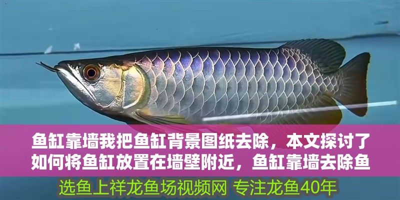 魚缸靠墻我把魚缸背景圖紙去除，本文探討了如何將魚缸放置在墻壁附近，魚缸靠墻去除魚缸背景圖紙