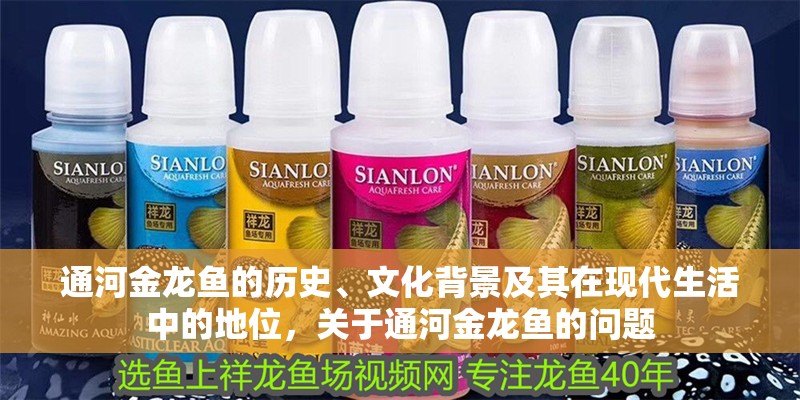 通河金龍魚的歷史、文化背景及其在現代生活中的地位，關于通河金龍魚的問題
