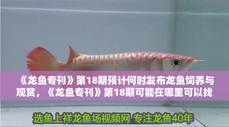 《龍魚專刊》第18期預(yù)計(jì)何時(shí)發(fā)布龍魚飼養(yǎng)與觀賞，《龍魚專刊》第18期可能在哪里可以找到？