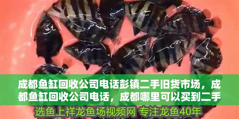 成都魚缸回收公司電話彭鎮二手舊貨市場，成都魚缸回收公司電話，成都哪里可以買到二手魚缸？
