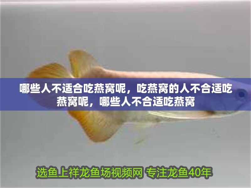 哪些人不適合吃燕窩呢，吃燕窩的人不合適吃燕窩呢，哪些人不合適吃燕窩