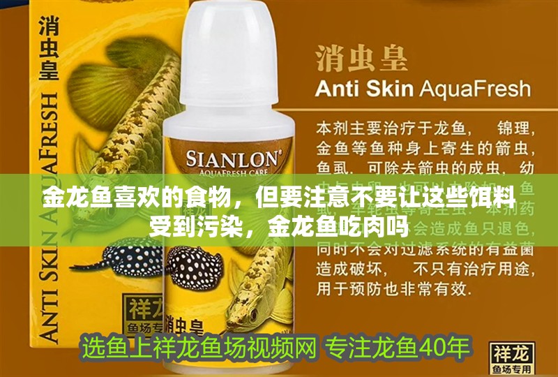 金龍魚喜歡的食物，但要注意不要讓這些餌料受到污染，金龍魚吃肉嗎