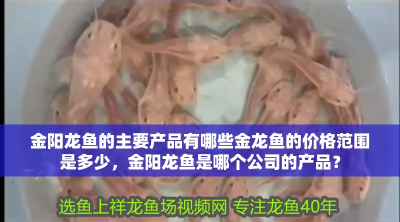 金陽龍魚的主要產品有哪些金龍魚的價格范圍是多少，金陽龍魚是哪個公司的產品？