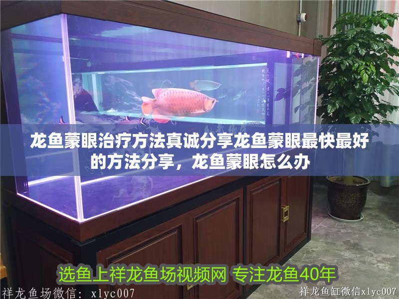 龍魚蒙眼治療方法真誠分享龍魚蒙眼最快最好的方法分享，龍魚蒙眼怎么辦