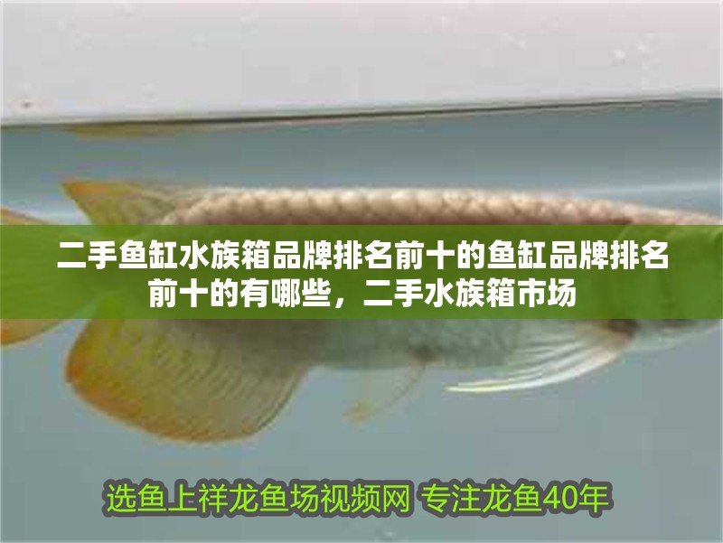 二手魚缸水族箱品牌排名前十的魚缸品牌排名前十的有哪些，二手水族箱市場