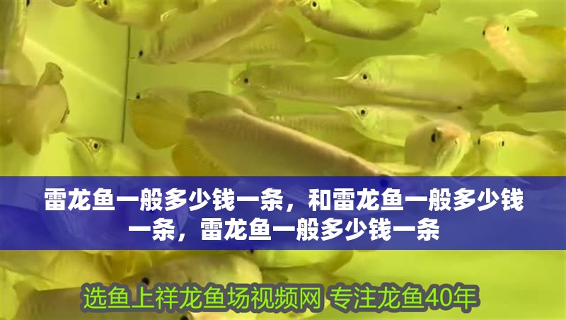 雷龍魚一般多少錢一條,和雷龍魚一般多少錢一條,雷龍魚一般多少錢一條 觀賞魚百科 第2張 雷龍魚一般多少錢一條,和雷龍魚一般多少錢一條,雷龍魚一般多少錢一條 雷龍魚一般多少錢一條,和雷龍魚一般多少錢一條,雷龍魚一般多少錢一條 觀賞魚百科 第2張