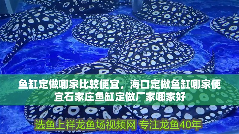 魚缸定做哪家比較便宜，海口定做魚缸哪家便宜石家莊魚缸定做廠家哪家好