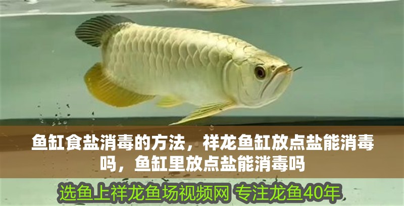 魚缸食鹽消毒的方法，祥龍魚缸放點鹽能消毒嗎，魚缸里放點鹽能消毒嗎