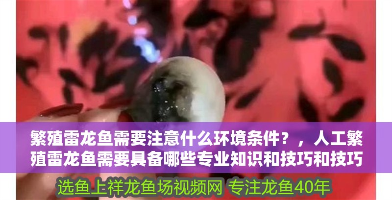 繁殖雷龍魚需要注意什么環(huán)境條件？，人工繁殖雷龍魚需要具備哪些專業(yè)知識和技巧和技巧