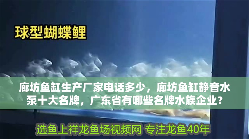 廊坊魚缸生產(chǎn)廠家電話多少，廊坊魚缸靜音水泵十大名牌，廣東省有哪些名牌水族企業(yè)？