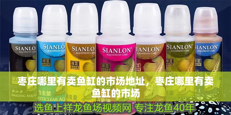 棗莊哪里有賣魚(yú)缸的市場(chǎng)地址，棗莊哪里有賣魚(yú)缸的市場(chǎng)