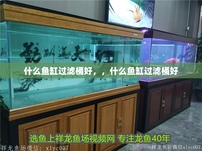 什么魚缸過濾桶好，，什么魚缸過濾桶好
