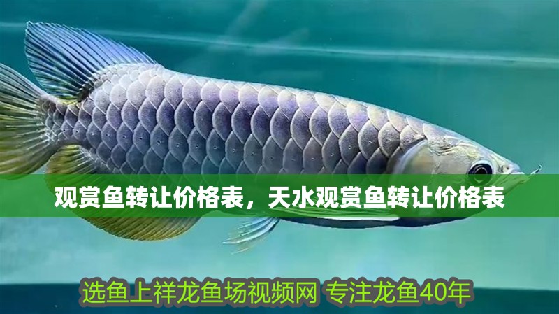 觀賞魚轉讓價格表，天水觀賞魚轉讓價格表