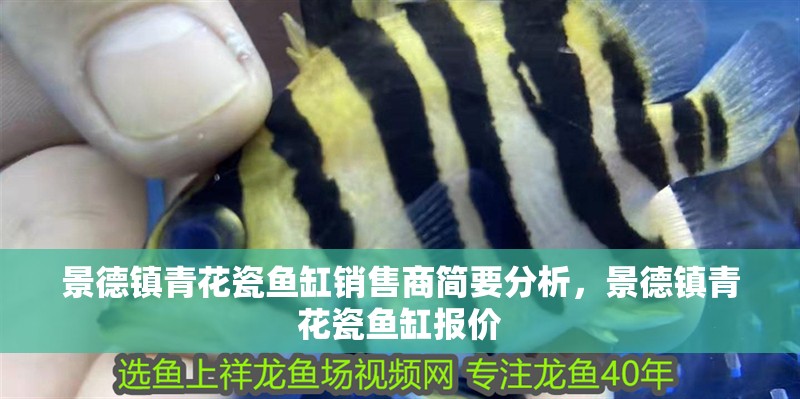 景德鎮(zhèn)青花瓷魚缸銷售商簡要分析，景德鎮(zhèn)青花瓷魚缸報價