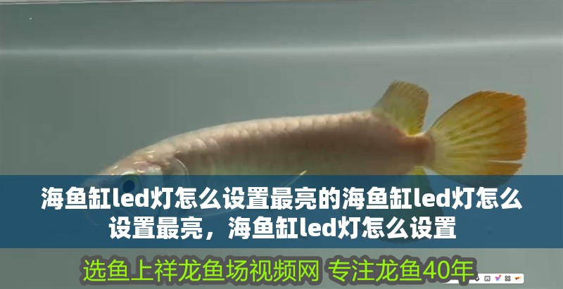 海魚缸led燈怎么設置最亮的海魚缸led燈怎么設置最亮，海魚缸led燈怎么設置