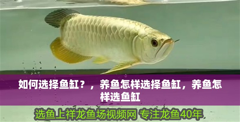 如何選擇魚缸？，養魚怎樣選擇魚缸，養魚怎樣選魚缸