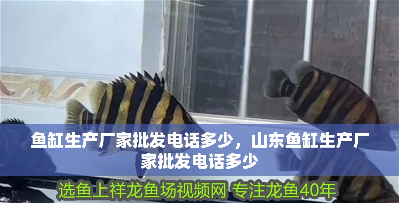 魚缸生產(chǎn)廠家批發(fā)電話多少，山東魚缸生產(chǎn)廠家批發(fā)電話多少