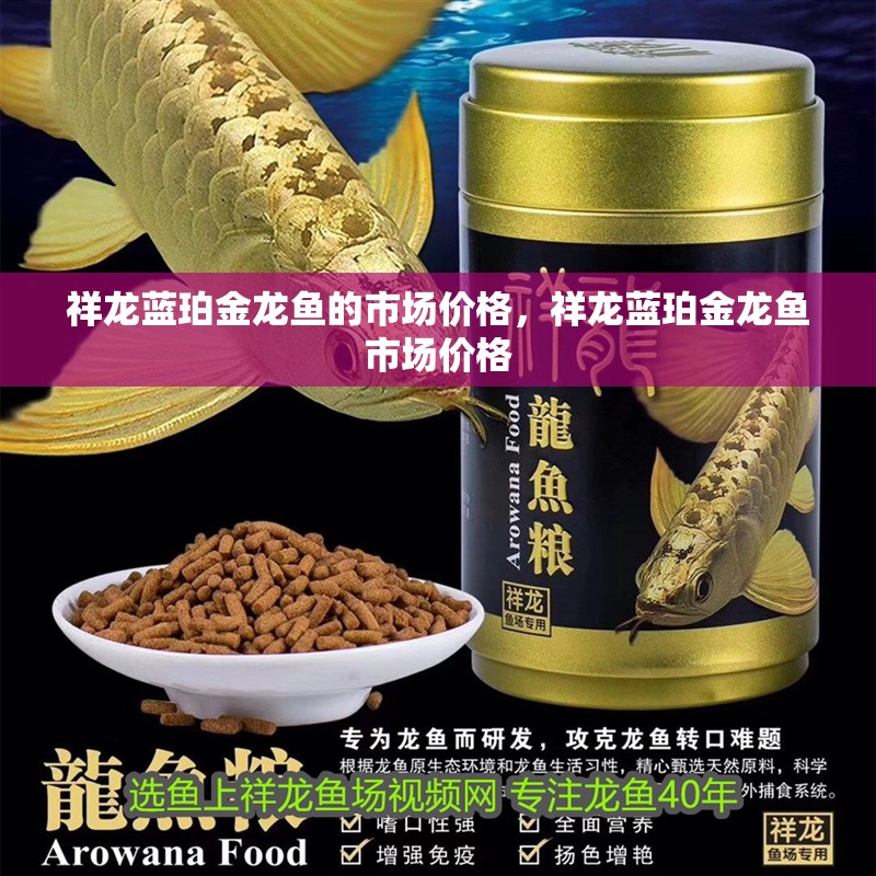 祥龍藍珀金龍魚的市場價格，祥龍藍珀金龍魚市場價格