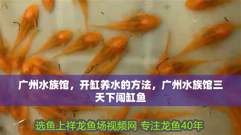 廣州水族館，開缸養水的方法，廣州水族館三天下闖缸魚