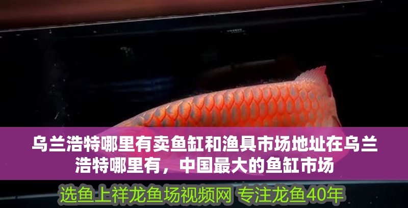 烏蘭浩特哪里有賣魚缸和漁具市場地址在烏蘭浩特哪里有，中國最大的魚缸市場