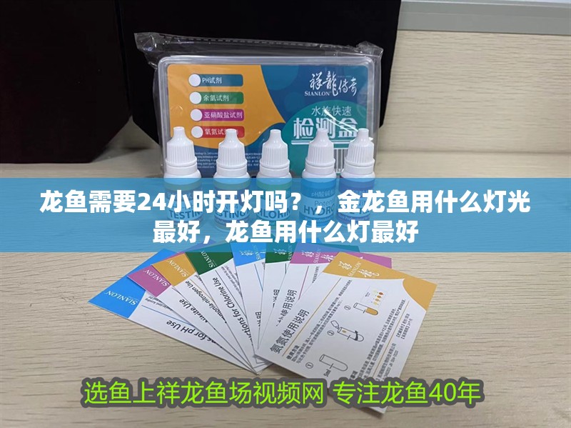 龍魚需要24小時開燈嗎？，金龍魚用什么燈光最好，龍魚用什么燈最好