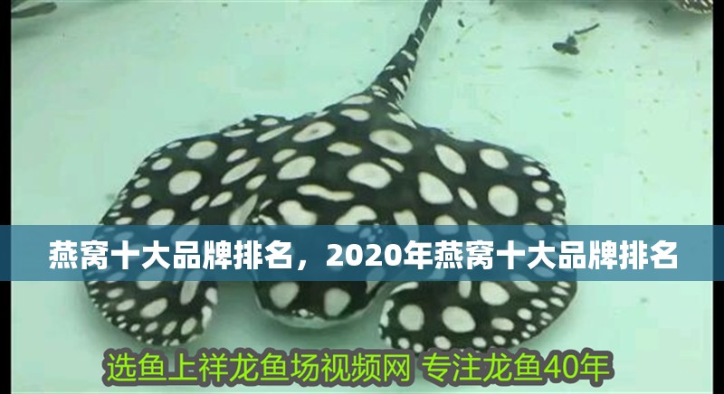 燕窩十大品牌排名，2020年燕窩十大品牌排名