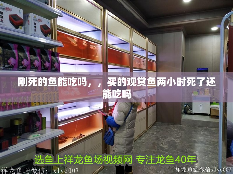 剛死的魚能吃嗎，，買的觀賞魚兩小時(shí)死了還能吃嗎